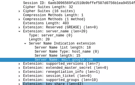 A Wireshark capture with the TLS server name extension highlighted