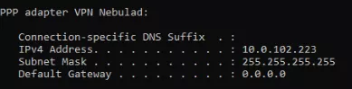 VPN PPP interface
